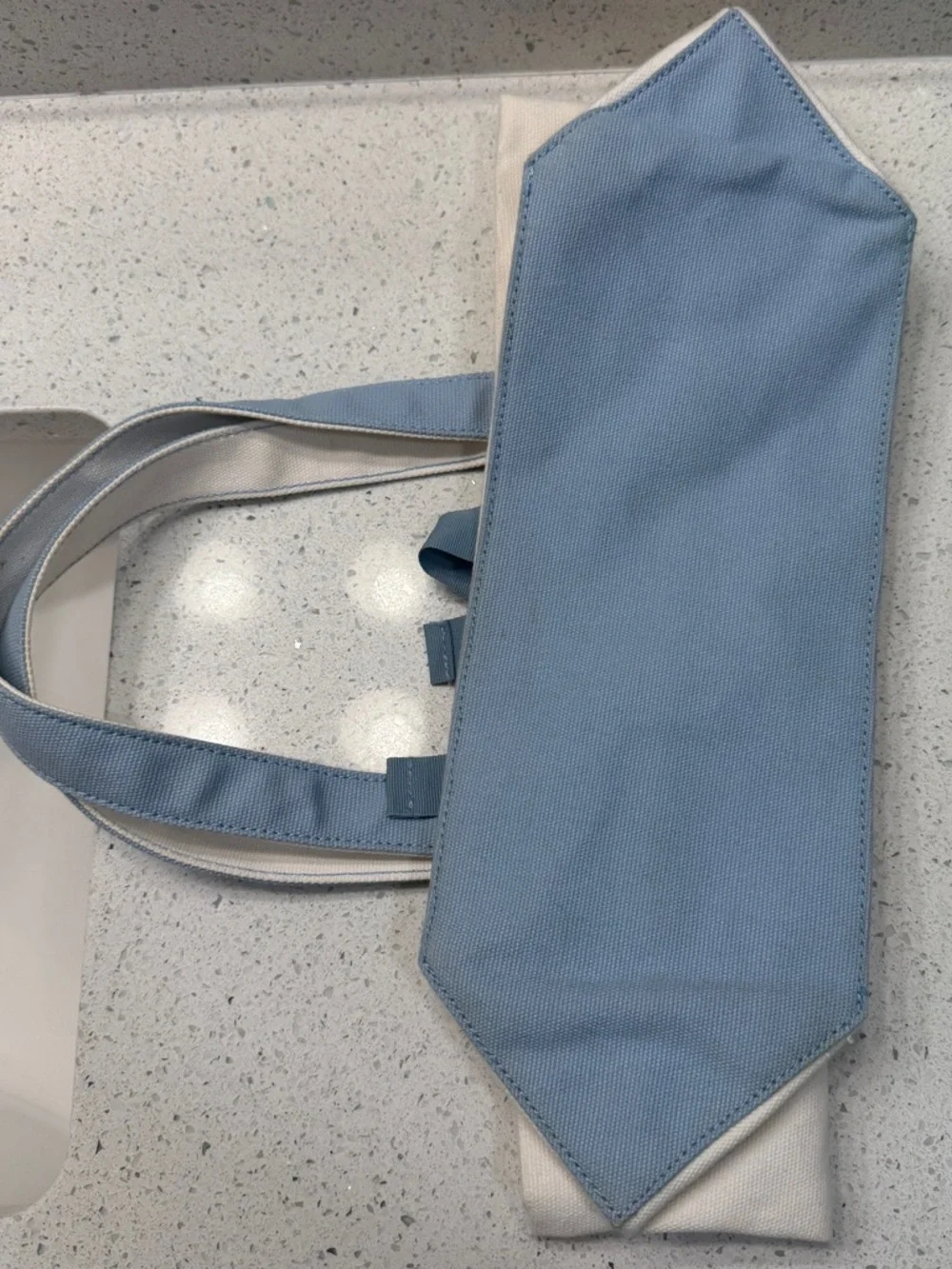 🍼 Baby Gap Small Logo Tote Bag with Blue Accents